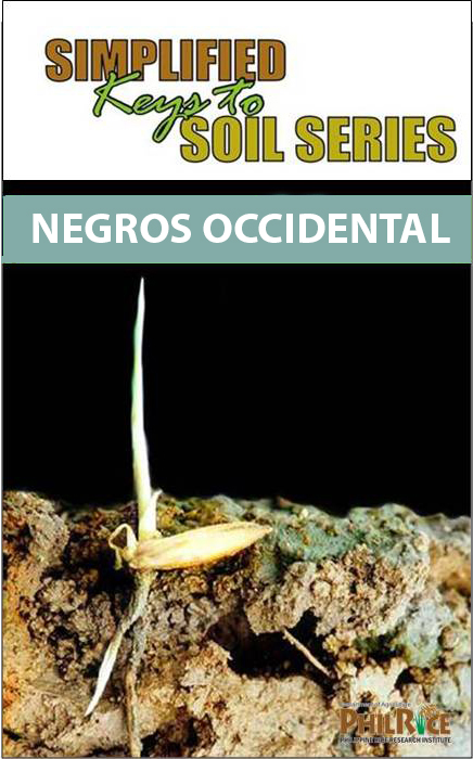 NegrosOccidental.jpg